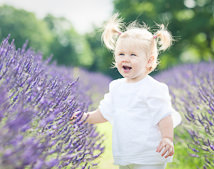 lavender-fields-photo-shoot
