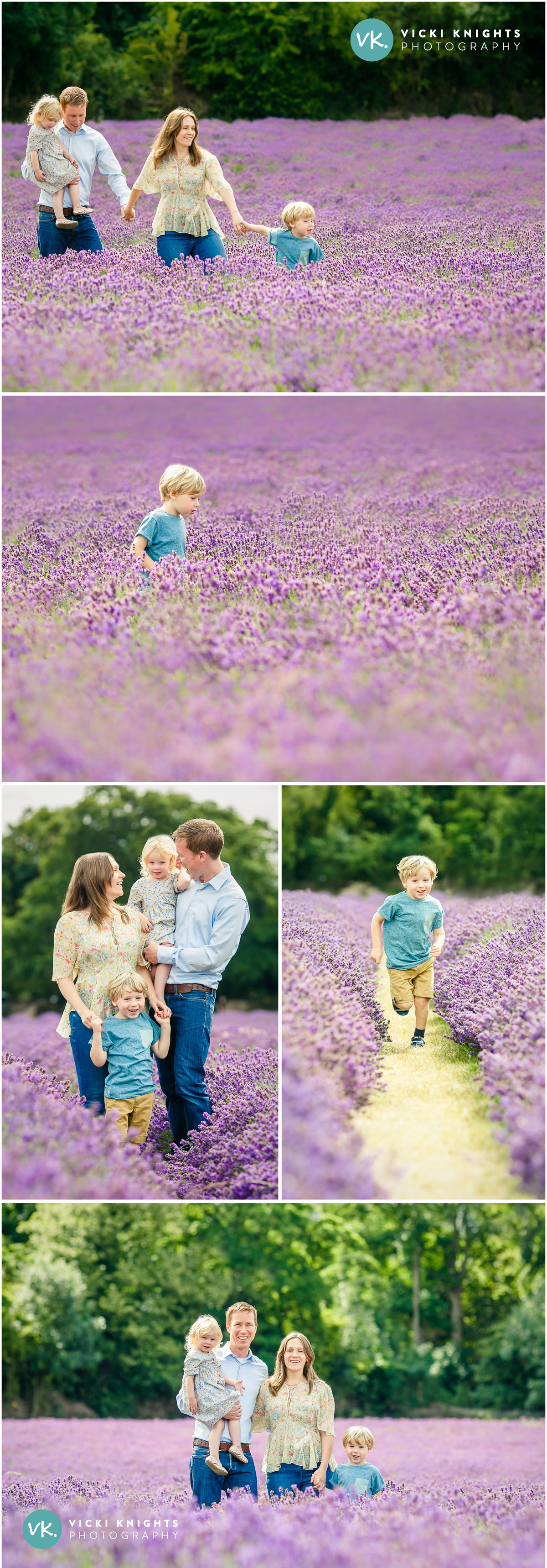 lavender-family-photo-shoot