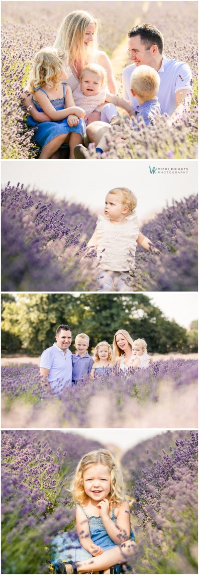family photography lavender