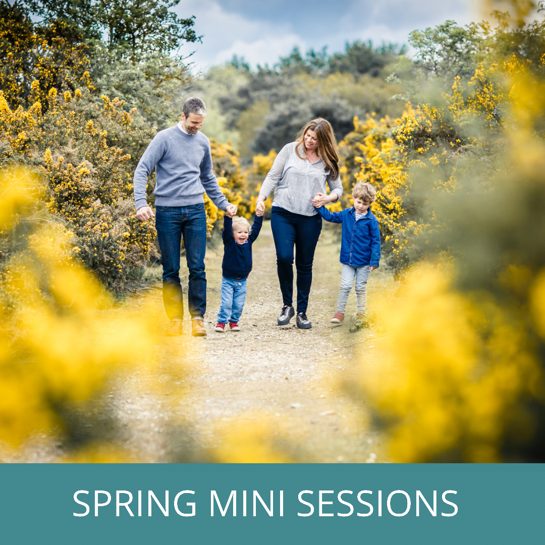 spring mini sessions