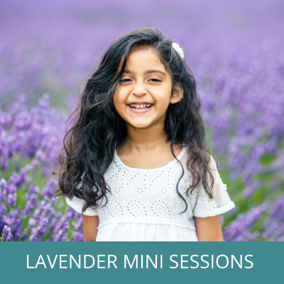 lavender mini sessions