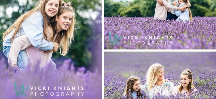 Family photo shoots in the lavender fields in Surrey