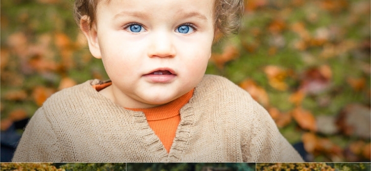 Results of my autumn mini sessions | part 3
