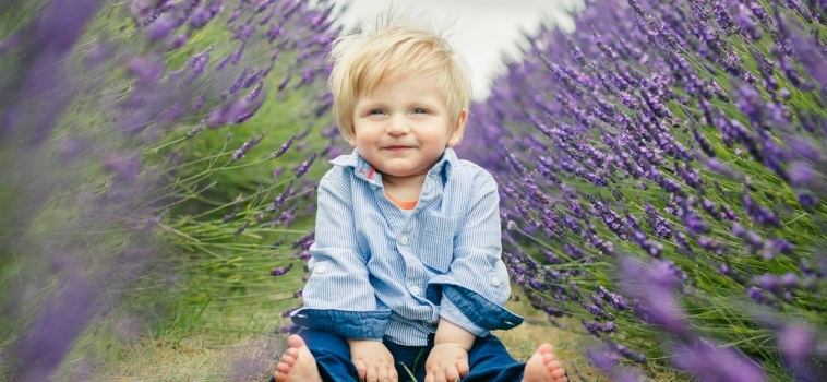My mini sessions in the Surrey lavender fields