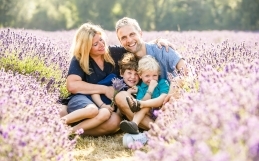 Family photo shoots in the lavender fields